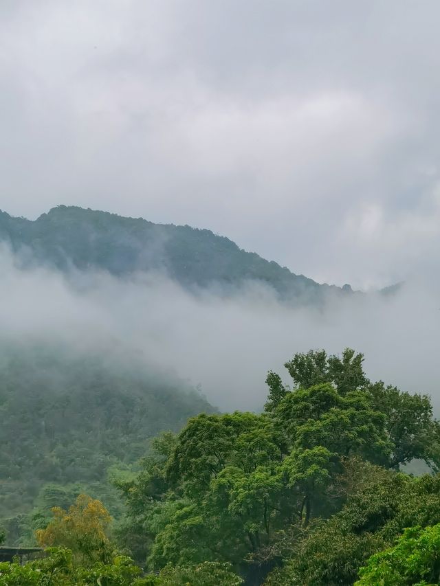 九成廣州人未去過嘅山區公園