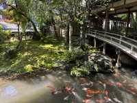修善寺嘅新井旅館令浸溫泉睇螢火蟲變得輕鬆愜意