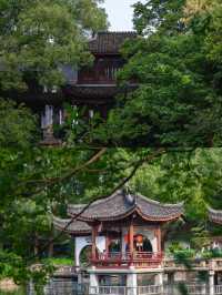 盛夏闖入滬郊秘境！這座園林藏著江南的詩意與清涼