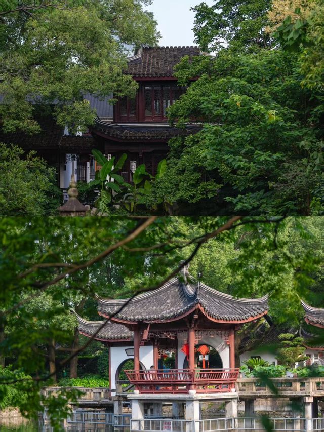 盛夏闖入滬郊秘境！這座園林藏著江南的詩意與清涼