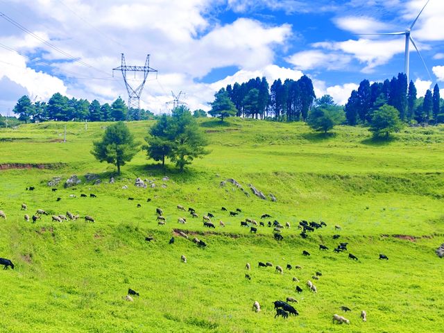 朗目山，曲靖嘅「阿勒泰」