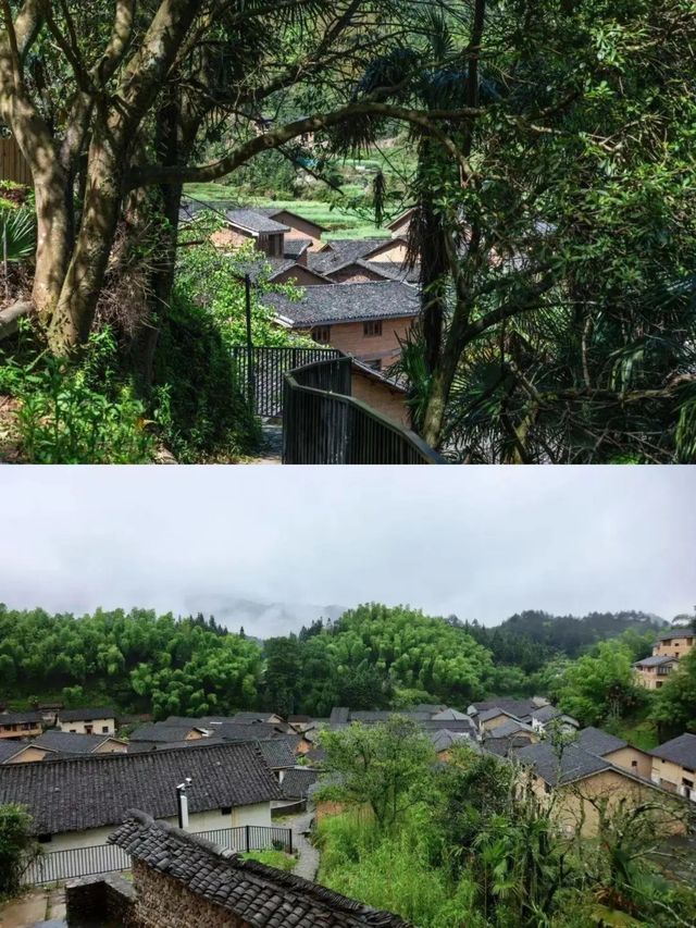 99%嘅浙江人都唔知嘅寶藏星空村落！