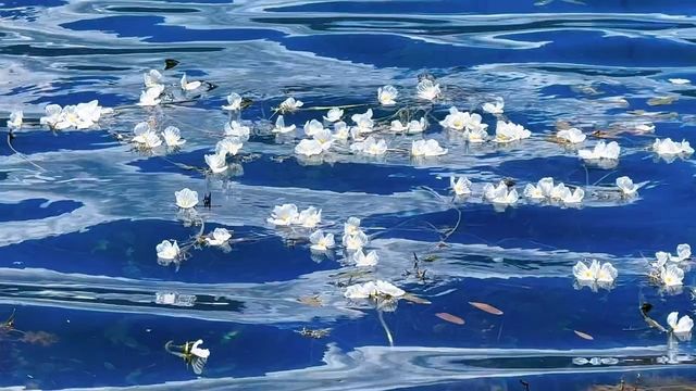 瀘沽湖之旅歸來，真心建議未出發嘅姊妹們