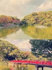 **【大阪隱世綠洲！天王寺公園療癒體驗全紀錄】**  