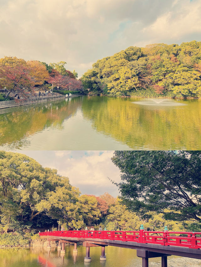 **【大阪隱世綠洲！天王寺公園療癒體驗全紀錄】**  