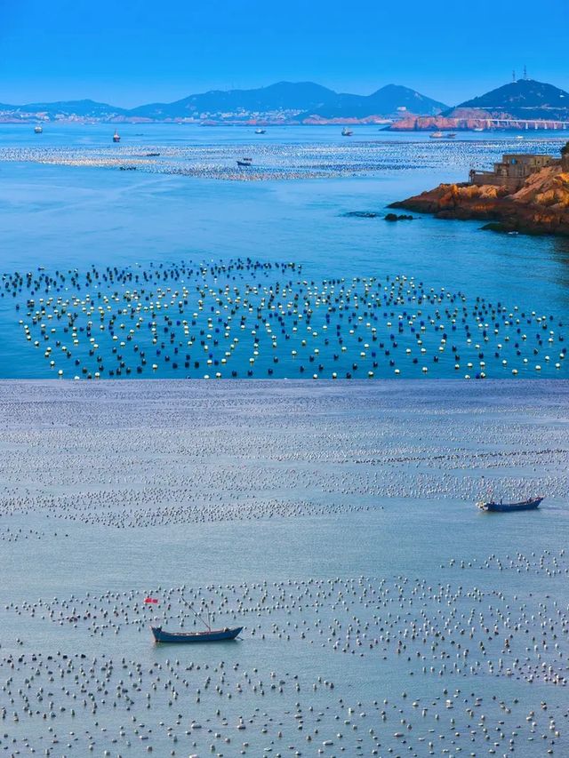 枸杞島：上海邊嘅海藍之夢，暑假清涼地！