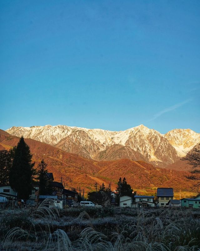 日本白馬村5天紅葉溫泉攻略