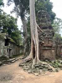 Angkor Wat Day Trip From Phnom Penh, Here Is how To do it! It’s Possible! 