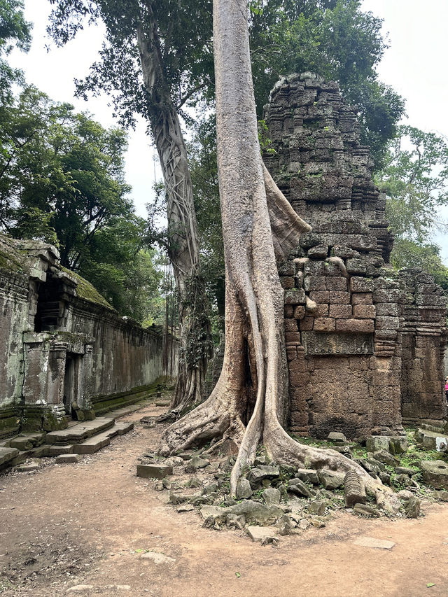 Angkor Wat Day Trip From Phnom Penh, Here Is how To do it! It’s Possible! 