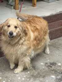 絕美峽谷漫遊指南