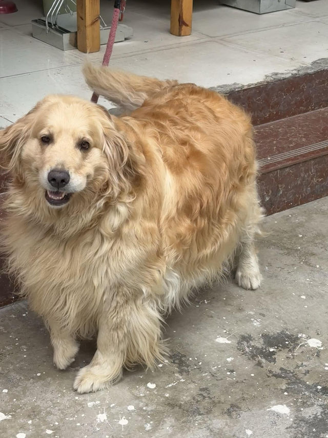 絕美峽谷漫遊指南