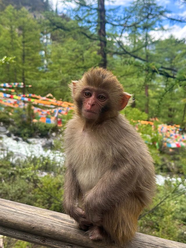 川西好靚 下次唔去喇