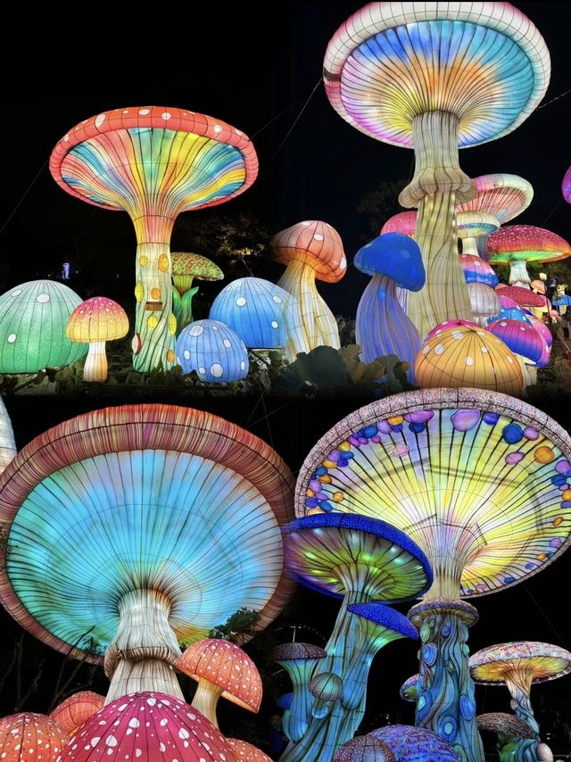 阿詩瑪代表雲南歡迎你