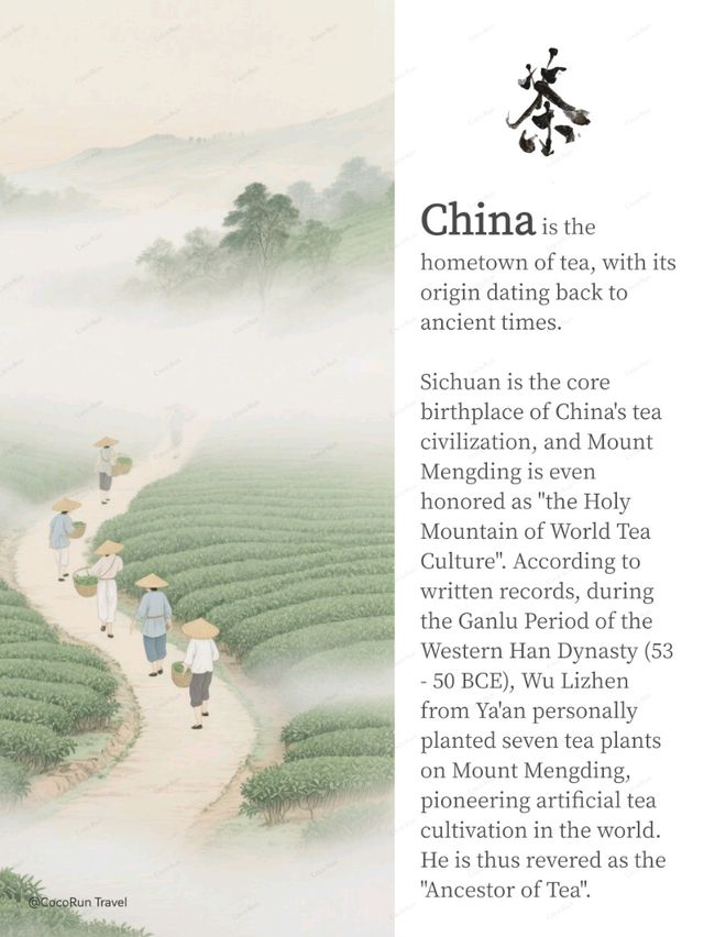 reading this, you'll be an expert on Chinese tea.