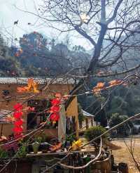 爬山同素齋麵愛好者狂喜！景德鎮冷水尖林間神仙麵館藏唔住啦