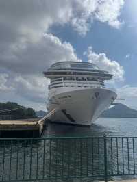 🌟 MSC Bellissima First Voyage of the Season