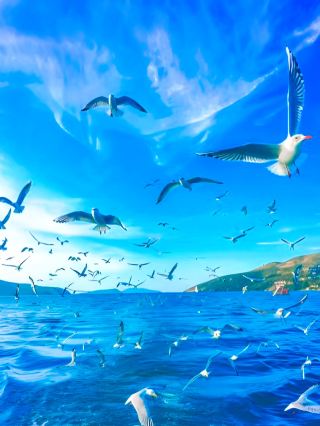 保定已回，7～8月份真係唔建議去因為實在係……