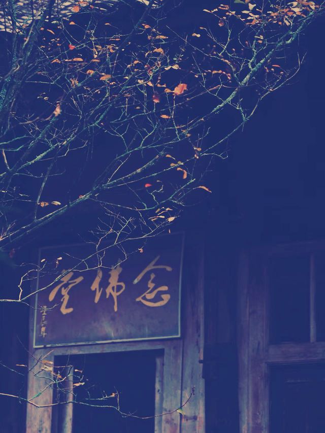 千年禪意，隱世清幽】邛崍興福寺靜心之旅**  