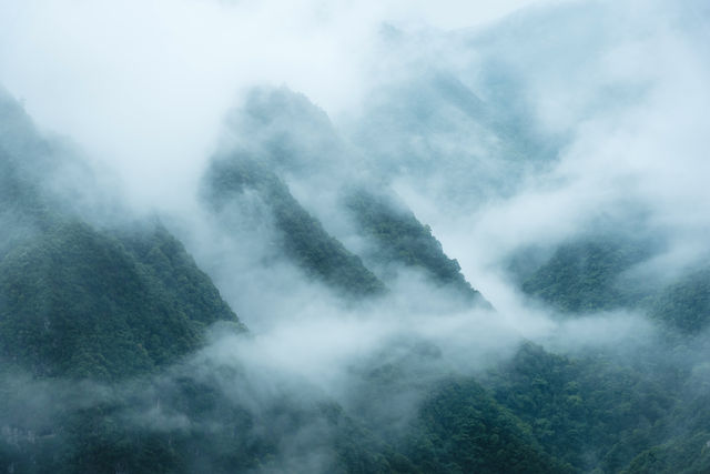 雲煙繚繞，落雨嘅浙南秘境太靚啦