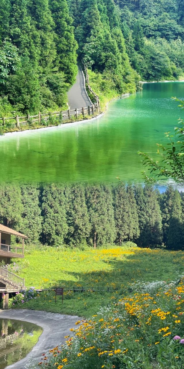 重慶20℃嘅森林冷氣房！