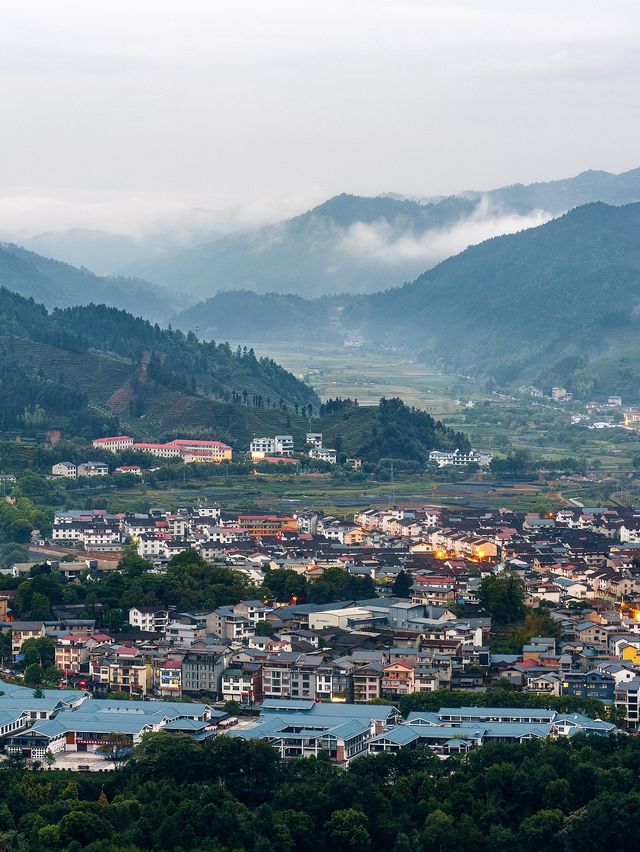 立秋C位！呢座閩北山城茶香四溢