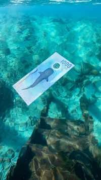 馬爾代夫必打卡絕美海景