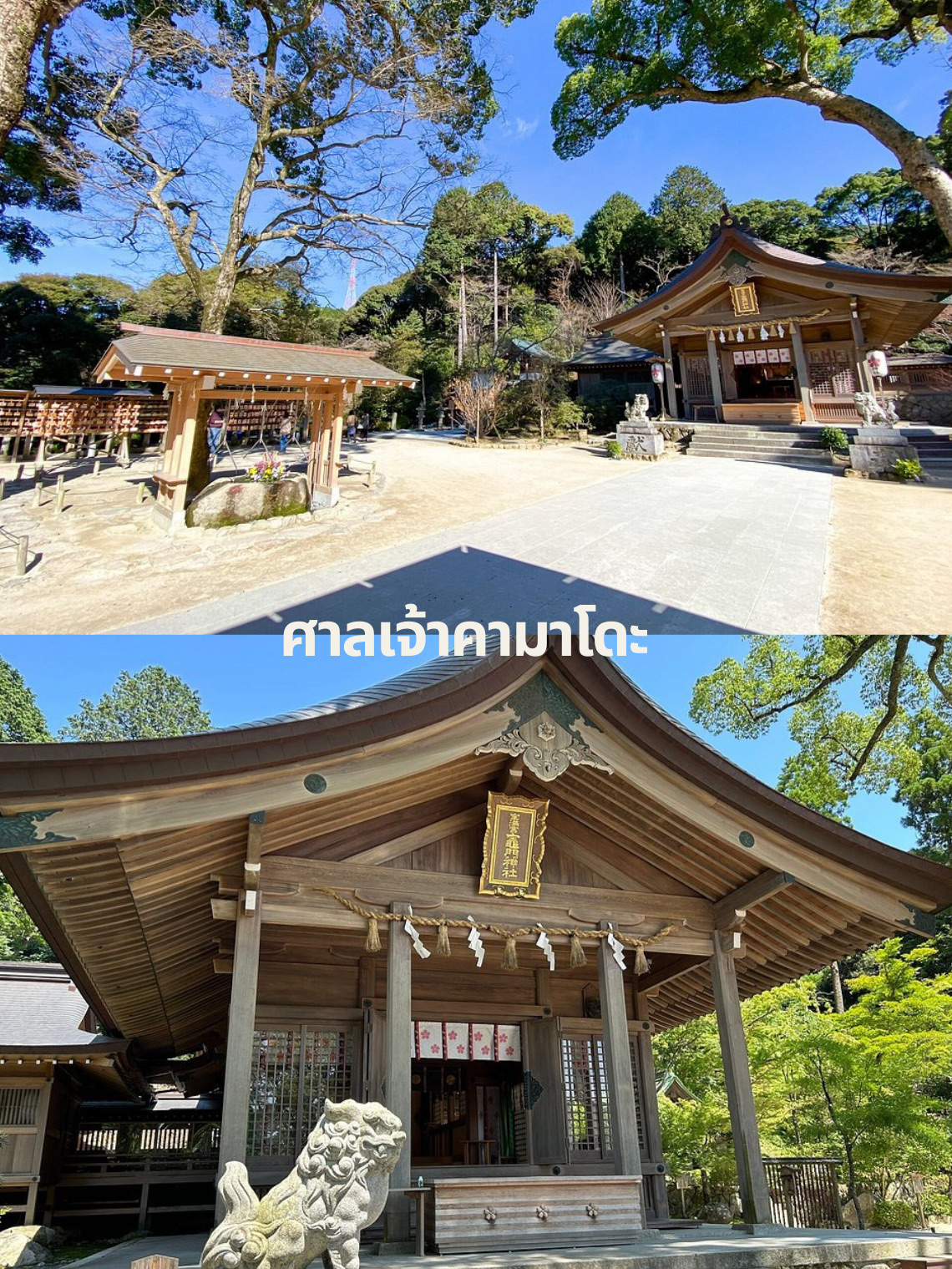 寶 滿 宮 竈門 神社