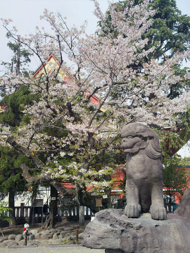 東京｜淺草神社｜傳統與文化的千年守護者