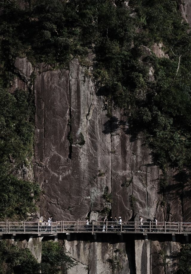 9月莽山必玩！秋日限定美景唔好錯過！