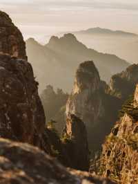 帶娃闖進十萬大山！森林徒步 + 親子露營