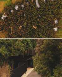 匠廬·樂山睡進大瓦山下的幽靜山居