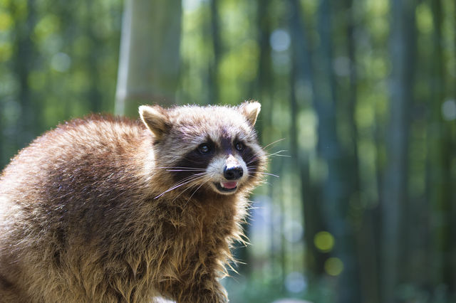 昆明—湖州，來這裡感受真正的野生動物日常