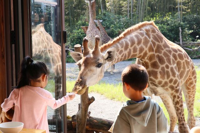 昆明—湖州，來這裡感受真正的野生動物日常