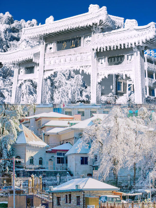 廬山霧淞雪景全攻略南方人也能get北國風光！