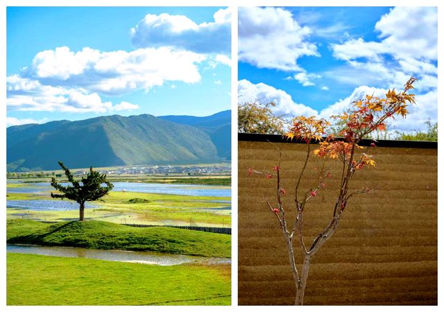 香格里拉治癒系旅行｜和萌寵玩雪山的超夢幻假期