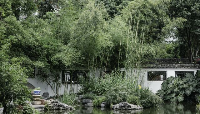 中式園林之美/柳侯公園