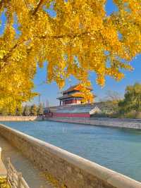 北京秋天打卡地圖這7條路線逛完，才算沒白來！