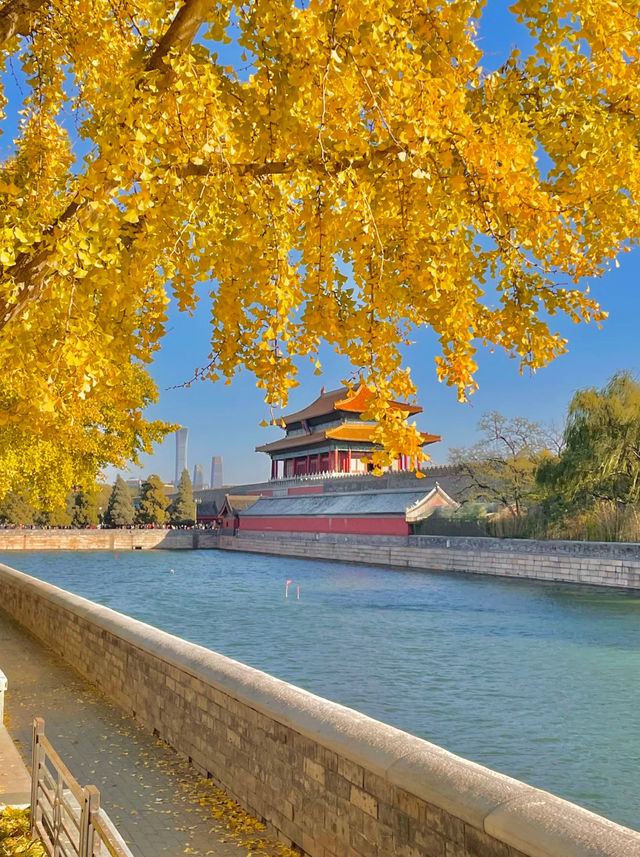 北京秋天打卡地圖這7條路線逛完，才算沒白來！