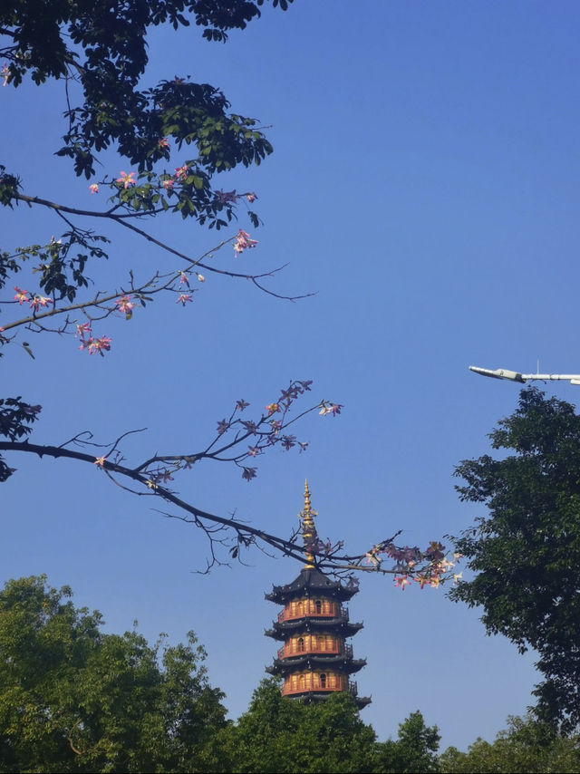 龍華公園拍塔全攻略