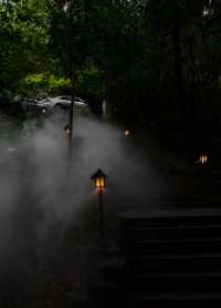 藏在九溪深處的千年禪意：理安寺漫遊記