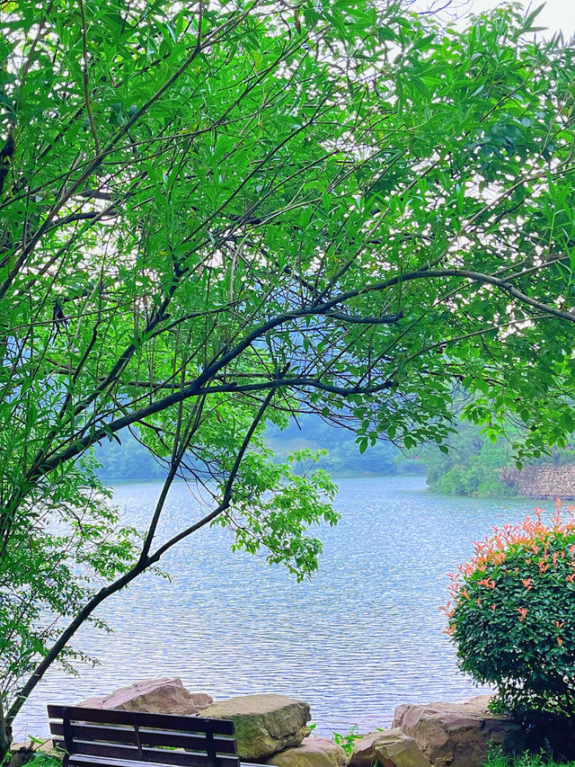 長沙小眾徒步秘境 | 桃花嶺，藏在城市旁的山野趣處 