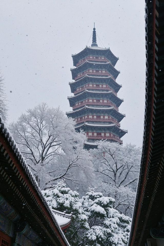 雪後嵩山美到窒息！冬日仙境打卡全攻略