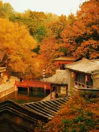北京賞秋天花板！頤和園驚艷打卡地大公開