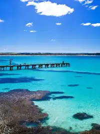 南澳大利亞攻略｜誰沒來過袋鼠島我都會傷心