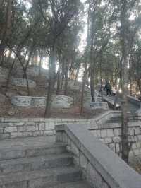 【濟南英雄山深度攻略】一座山,一段歷史,一份英雄夢!?