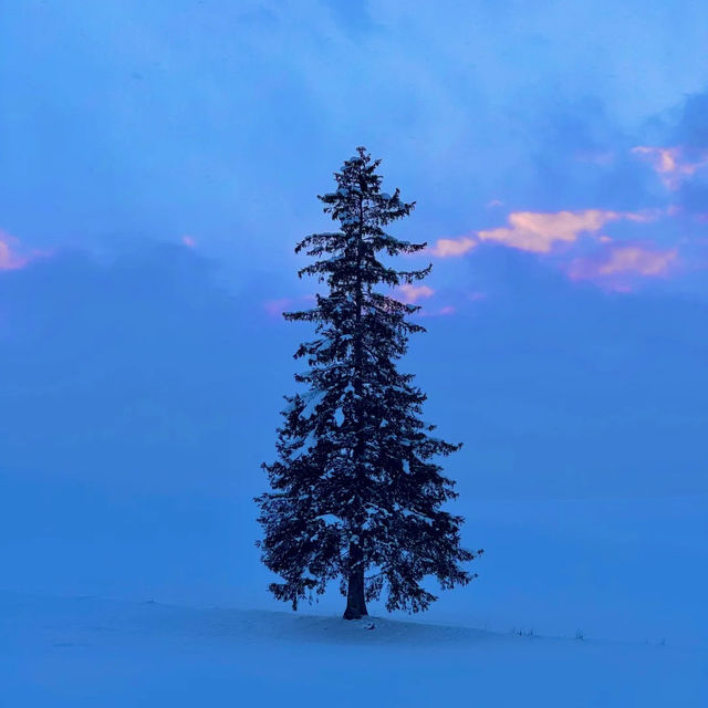 ❄️홋카이도의 겨울, 상상보다 따뜻한 눈꽃 낭만 ❄️홋카이도의 겨울, 상상보다 따뜻한 눈꽃 낭만