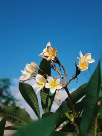 在科莫多島找到了旅行中的鬆弛感
