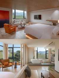 江浙滬2h!帶寵住茶山民宿超省心