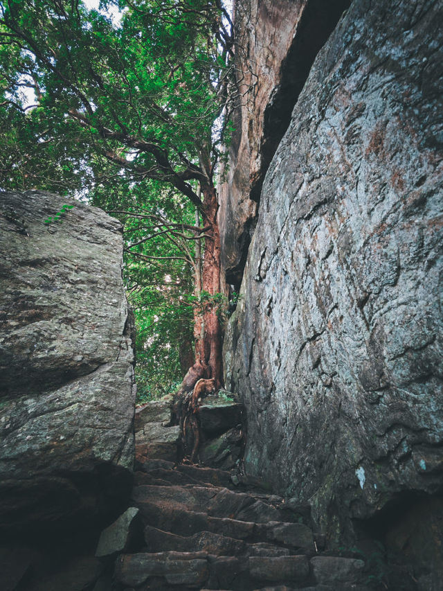 斯里蘭卡｜蒼穹之下，唯有一石
