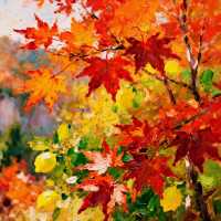 河北紅葉天花板!響堂山秋日封神級紅葉盛宴